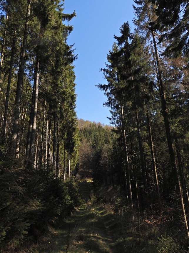 Peter Blei unterwegs an der Eisfelder Talm&uuml;hle