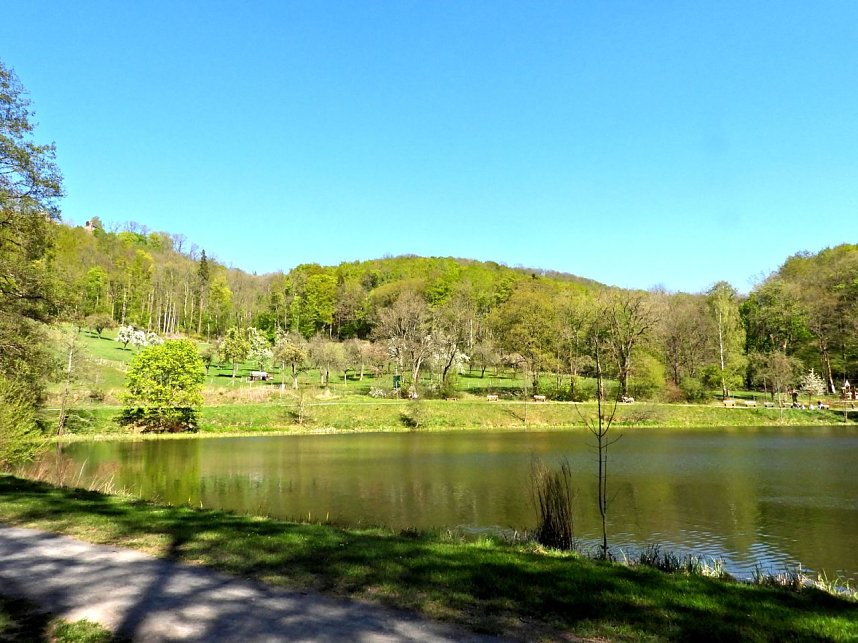 Peter Blei unterwegs am Neust&auml;dter Gondelteich
