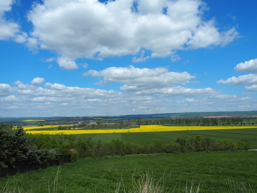 Wandern am Stausee Kelbra