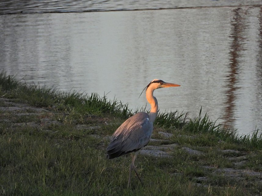 Peter Blei am Stausee Kelbra
