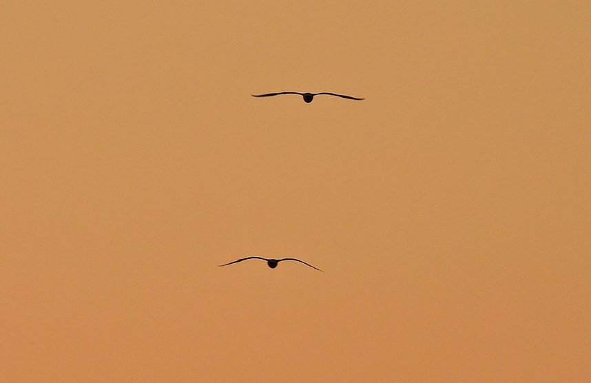 Peter Blei am Stausee Kelbra