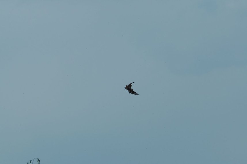 Unterwegs bei Auleben