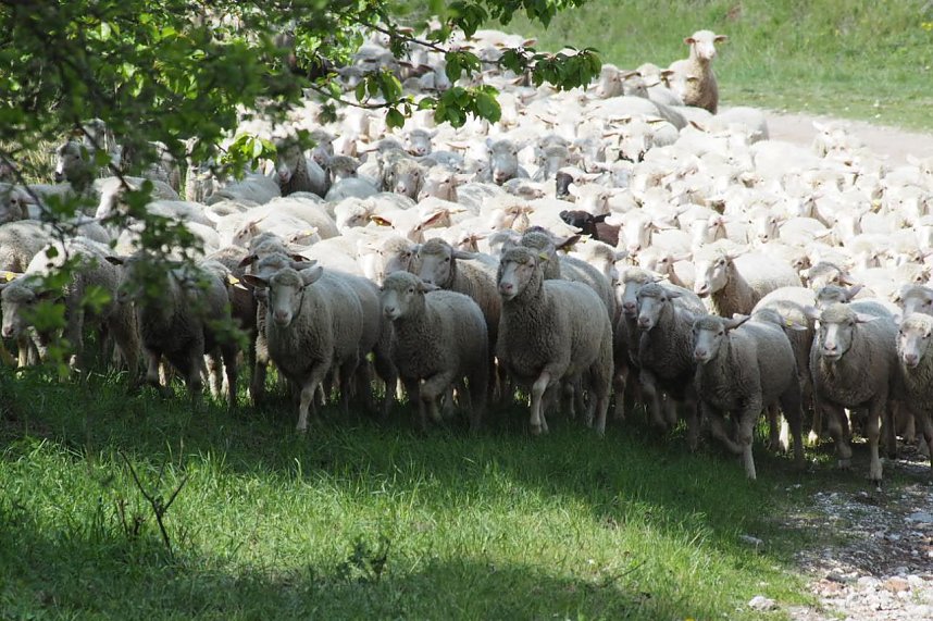 Unterwegs bei Auleben