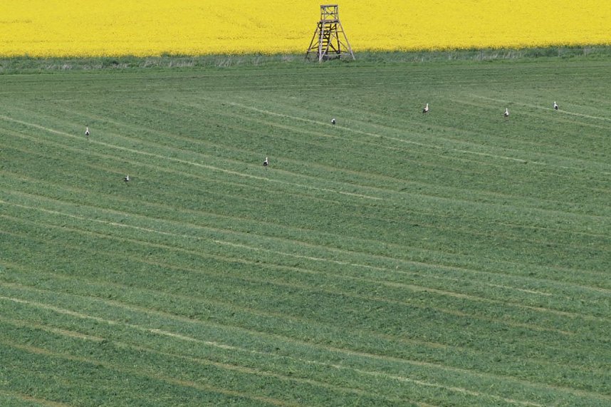 Unterwegs bei Auleben