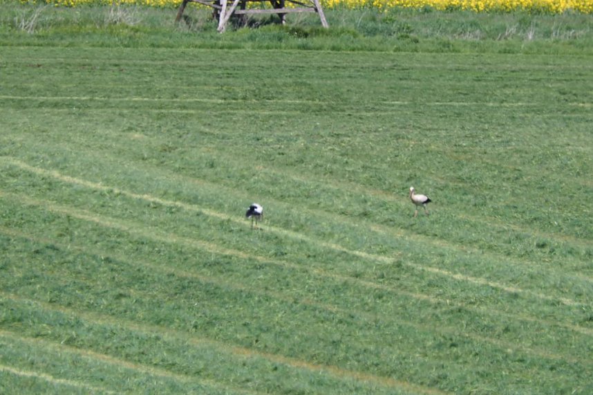 Unterwegs bei Auleben