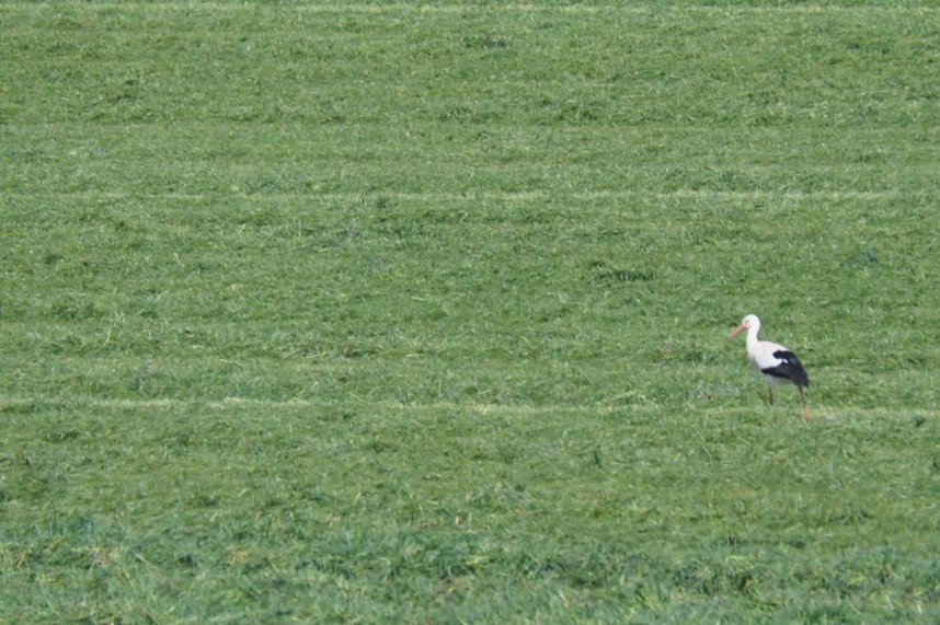 Unterwegs bei Auleben