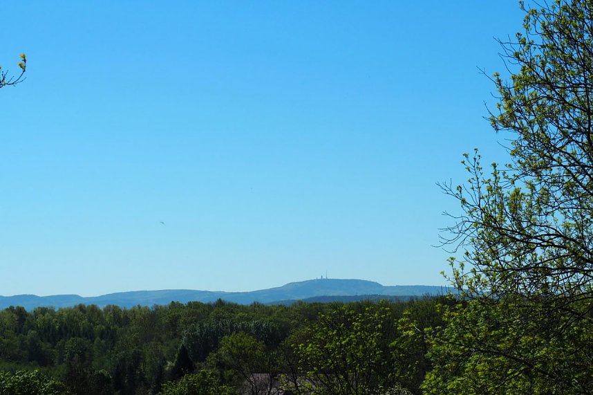 Auf dem Baumkronenpfad