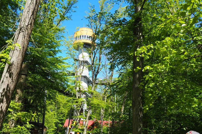 Auf dem Baumkronenpfad