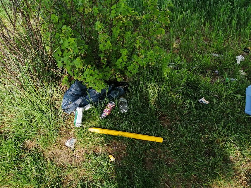 Wunder in der Windl&uuml;cke