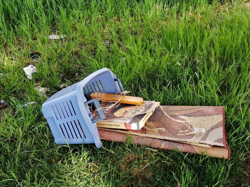 Wunder in der Windl&uuml;cke