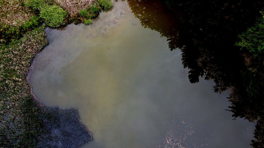Wanderung um Neustadt
