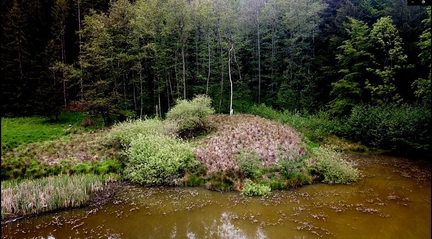 Wanderung um Neustadt