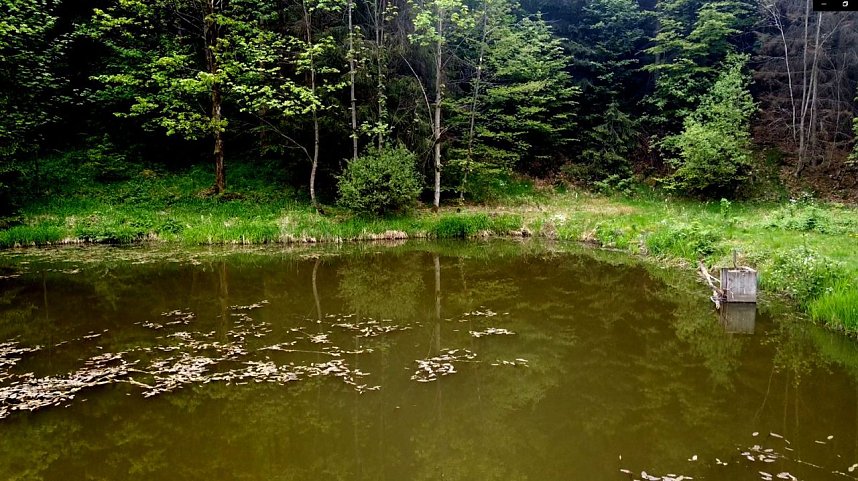 Wanderung um Neustadt