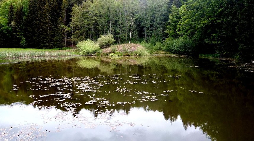 Wanderung um Neustadt