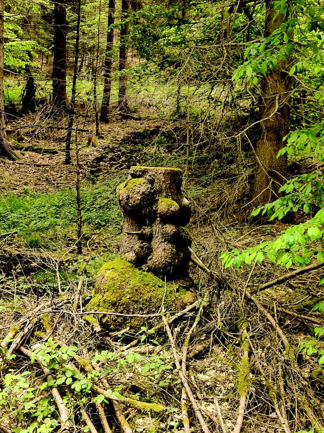 Wanderung um Neustadt
