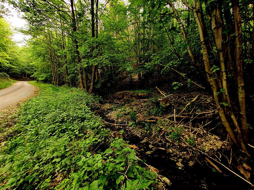 Wanderung um Neustadt