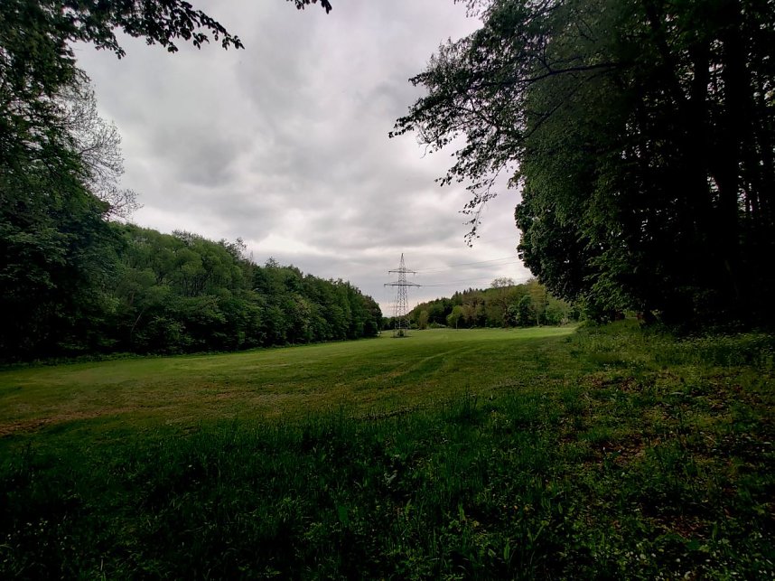 Wanderung um Neustadt