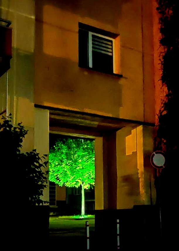 Das n&auml;chtliche Nordhausen