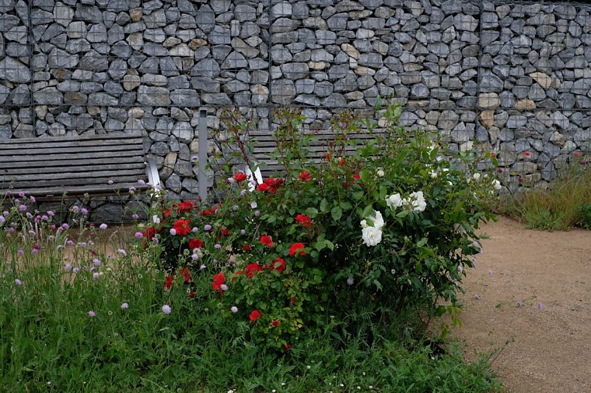 Impressionen vom Petersberg