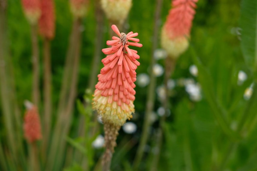 Impressionen vom Petersberg