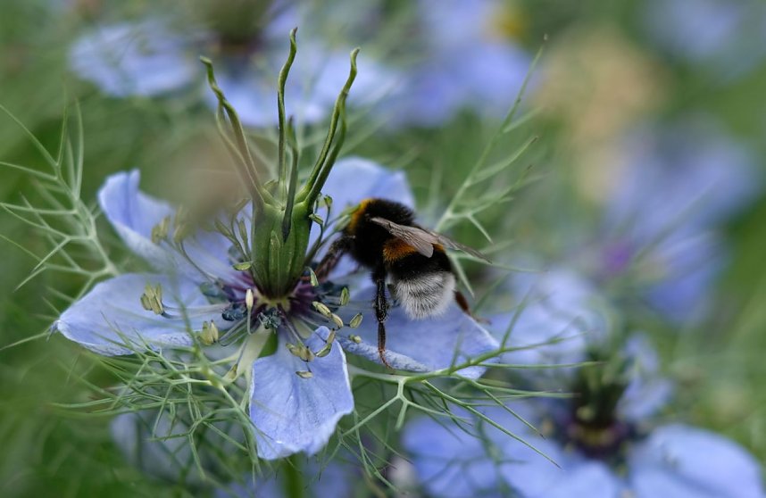 Impressionen vom Petersberg
