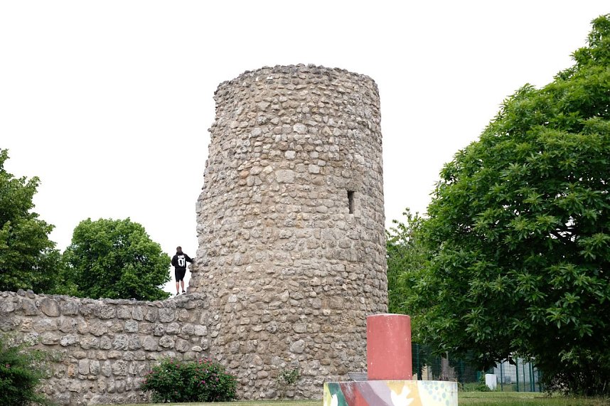 Impressionen vom Petersberg