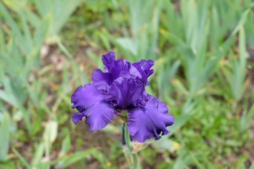 Impressionen vom Petersberg