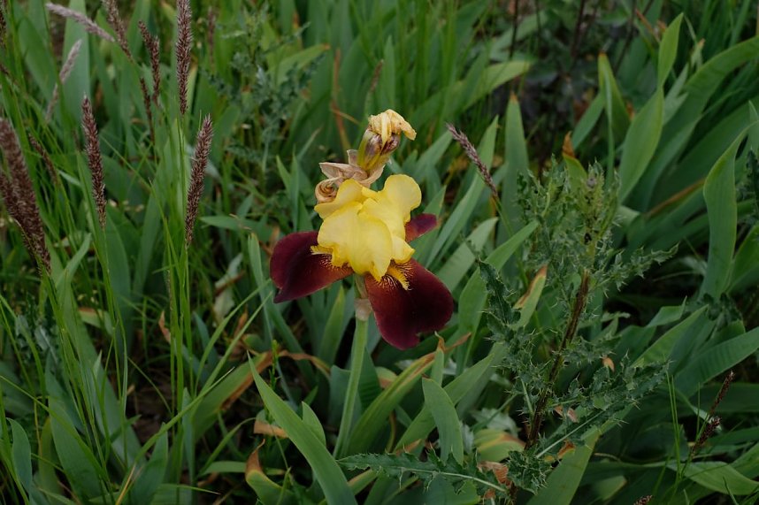 Impressionen vom Petersberg