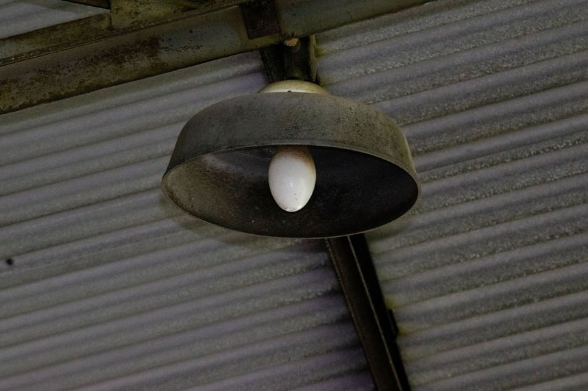 Es war einmal in Heringen...