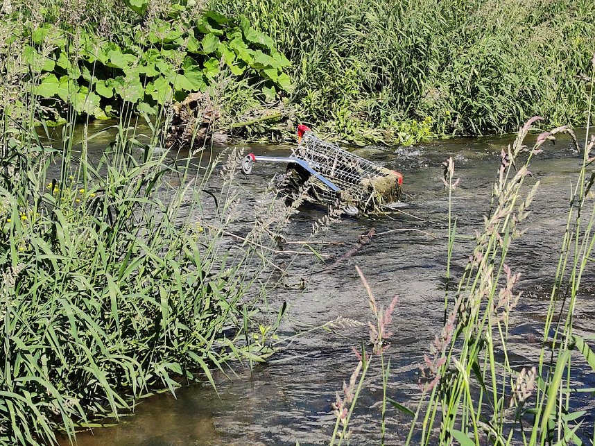 M&uuml;ll in der Zorge