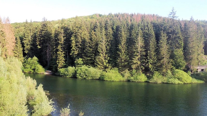 Peter Blei unterwegs an der Neust&auml;dter Talsperre
