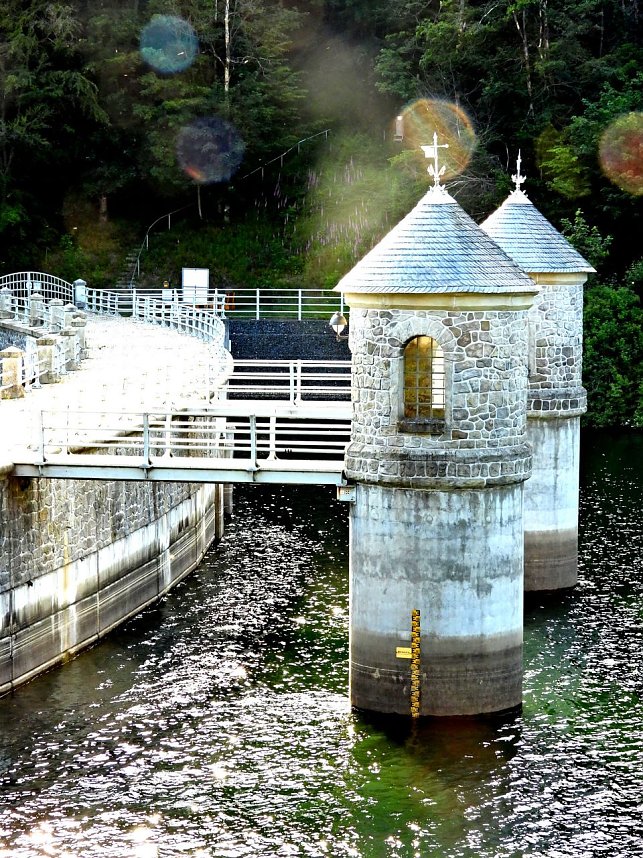 Peter Blei unterwegs an der Neust&auml;dter Talsperre