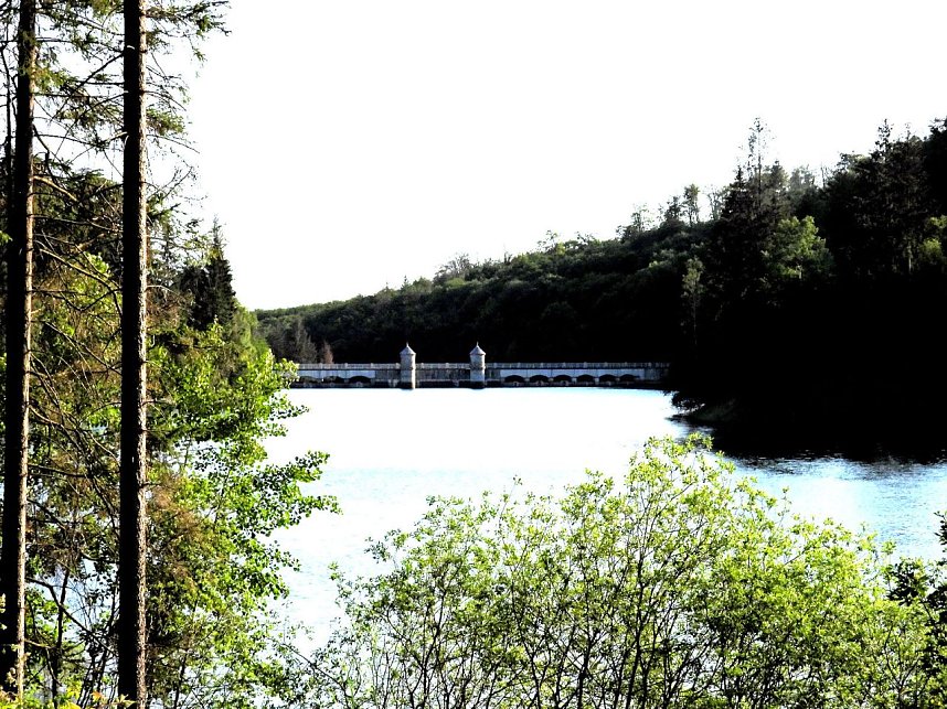 Peter Blei unterwegs an der Neust&auml;dter Talsperre