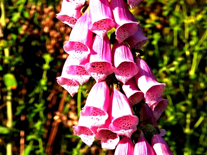 Peter Blei unterwegs an der Neust&auml;dter Talsperre
