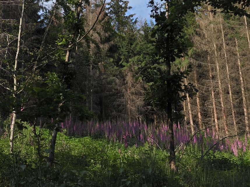 Peter Blei unterwegs an der Neust&auml;dter Talsperre