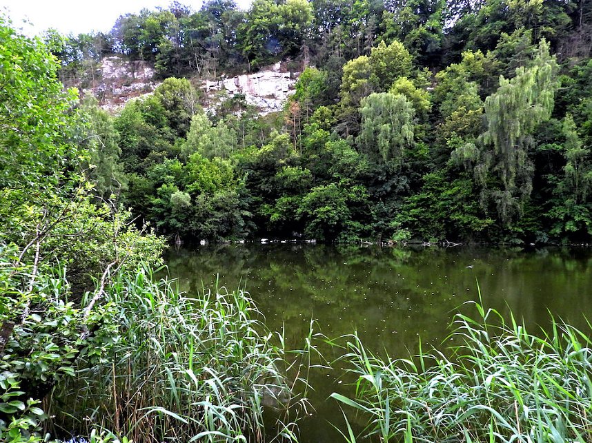 Tanzteich bei Niedersachswerfen