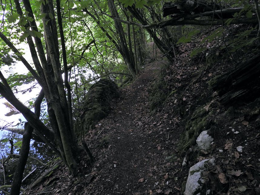 Tanzteich bei Niedersachswerfen