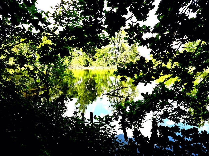 Tanzteich bei Niedersachswerfen