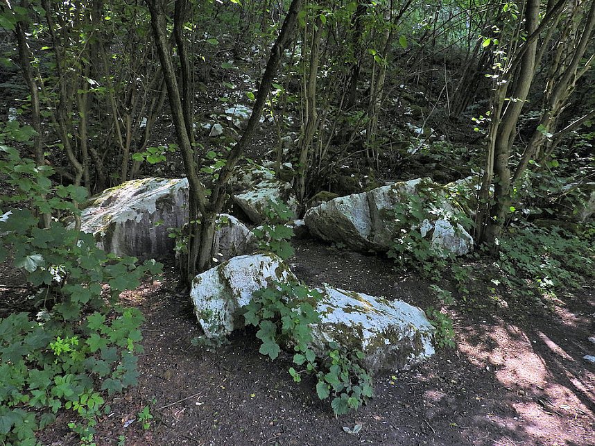 Tanzteich bei Niedersachswerfen