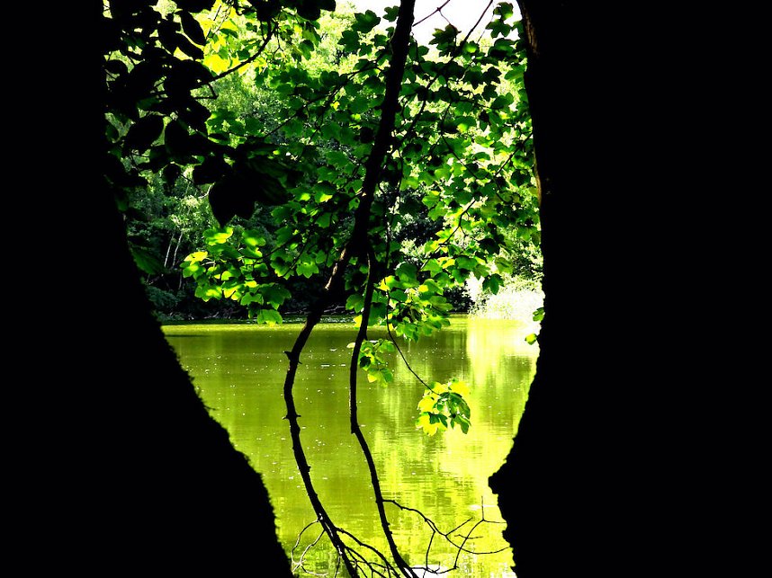 Tanzteich bei Niedersachswerfen