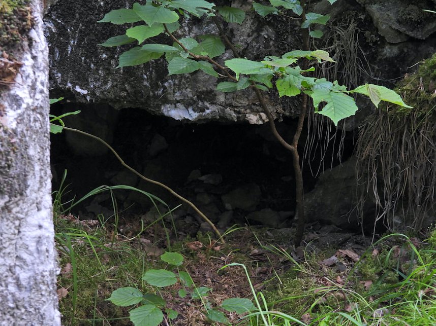Tanzteich bei Niedersachswerfen