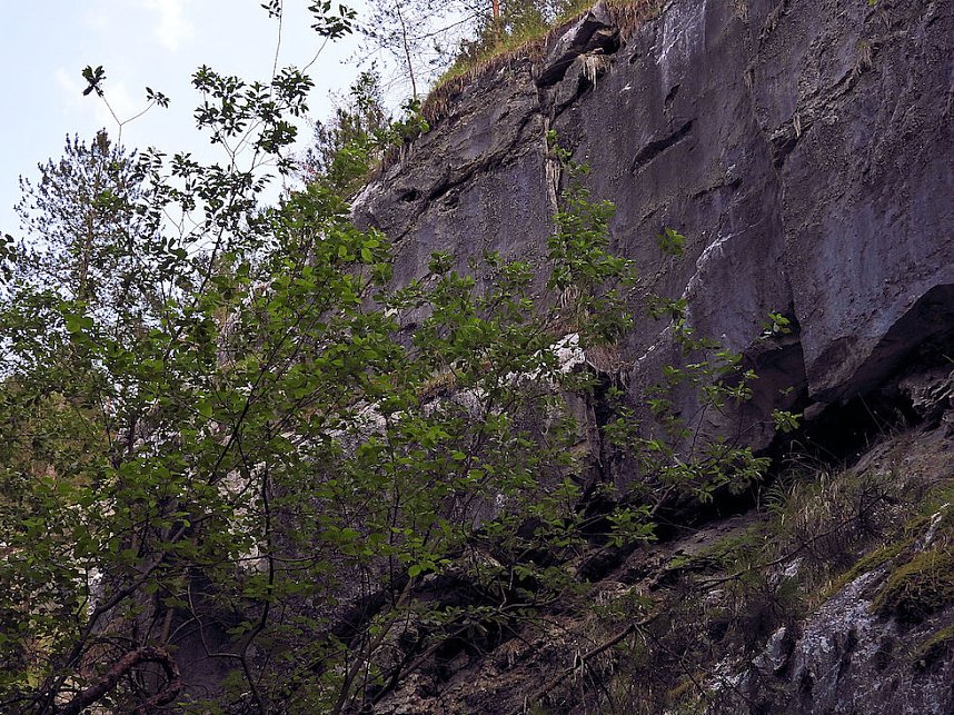 Tanzteich bei Niedersachswerfen
