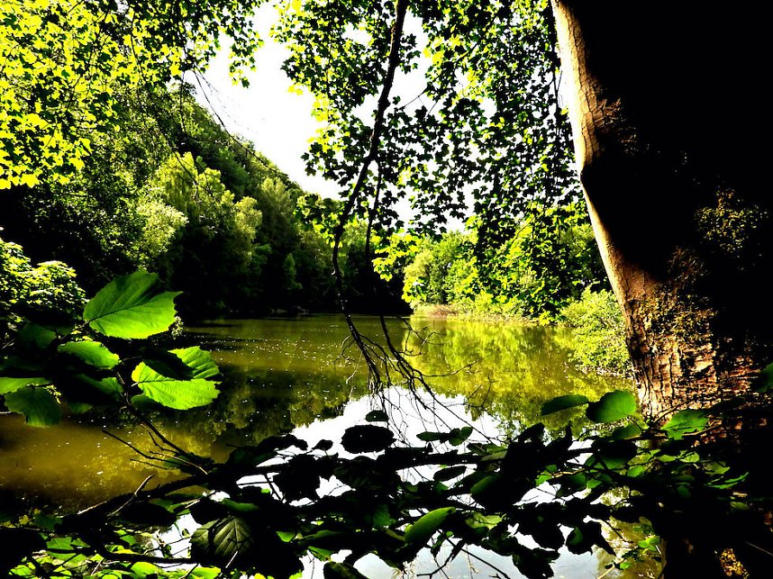 Tanzteich bei Niedersachswerfen