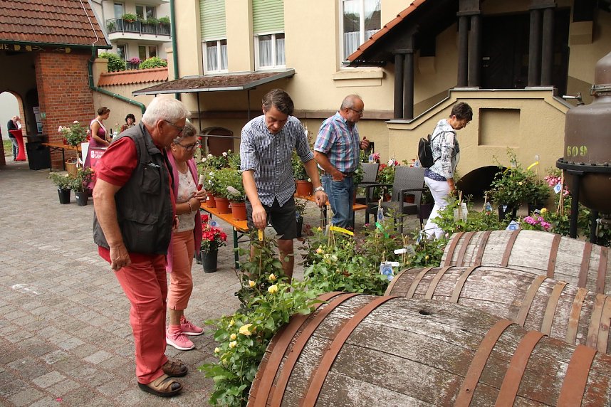 Erster Nordh&auml;user Rosenmarkt