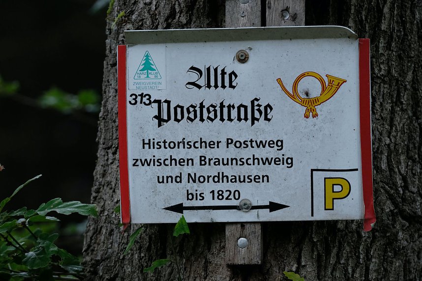 Abendspaziergang mit Kamera