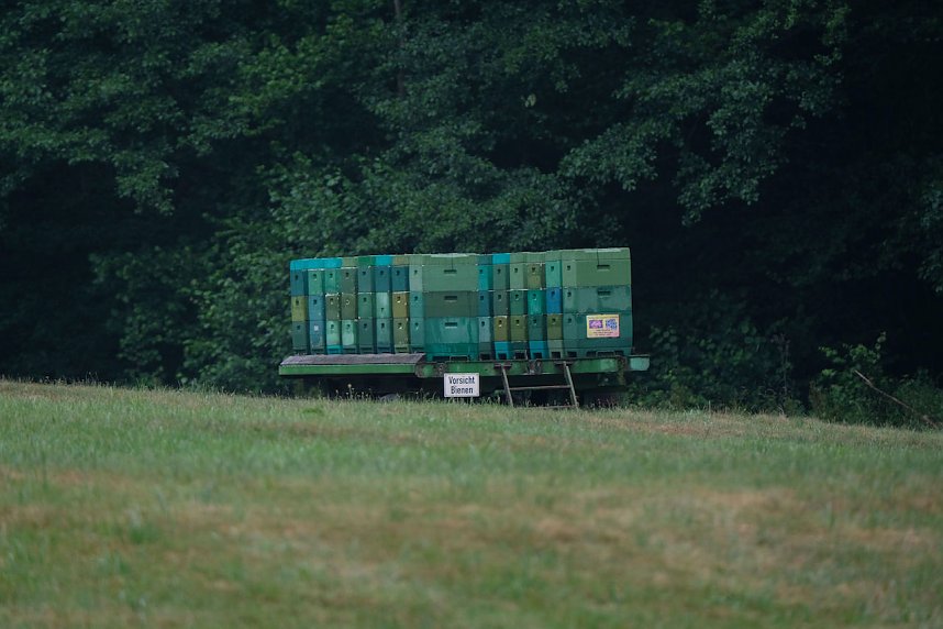 Abendspaziergang mit Kamera