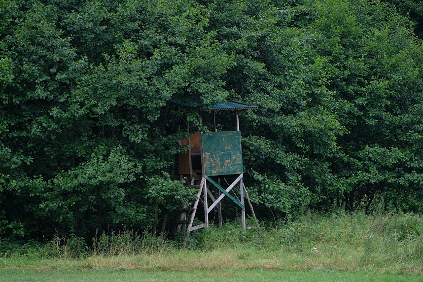Abendspaziergang mit Kamera