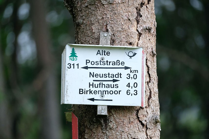 Abendspaziergang mit Kamera