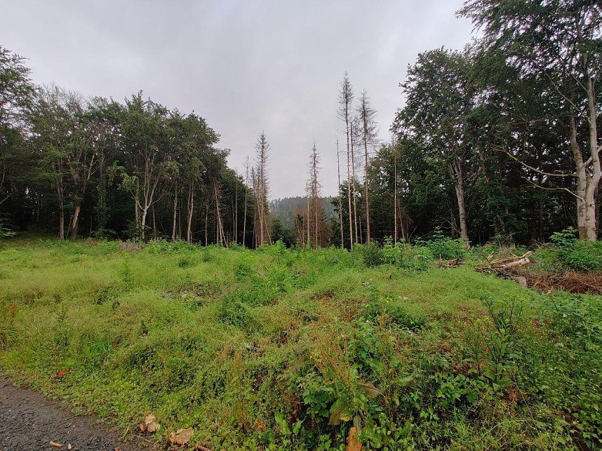 Abendspaziergang mit Kamera