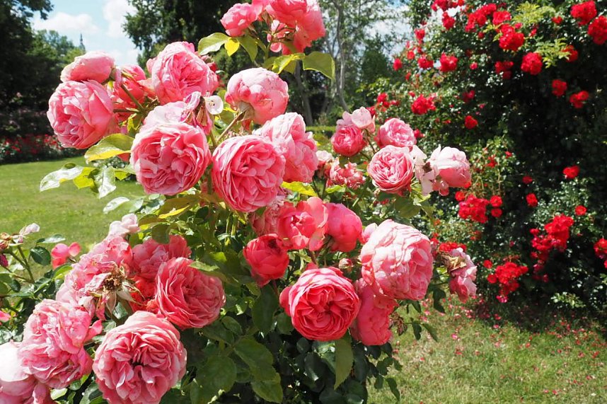 Impressionen aus Bad Langensalza